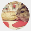 Buscar hamster pegatinas Animales
