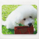 Buscar singapur alfombrillas de raton Vertical