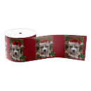 Buscar perritos cintas Animal