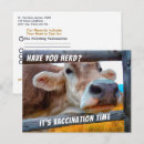 Buscar animales grandes postales Vaca