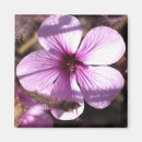Buscar jardinero imanes Fotografía
