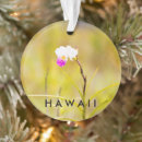 Buscar flor hawaiana adornos Hawaii