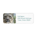 Buscar onza postales Fauna
