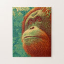 Buscar orangutanes puzzles Vida silvestre
