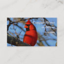 Buscar cardenal rojo tarjetas de visita Cardinal