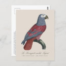 Buscar tapir postales Tapear