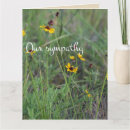 Buscar campo de flor tarjetas Para ellos