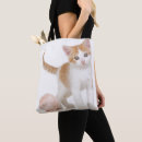 Buscar colocación bolsos Fotografía