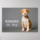 Buscar mi pitbull posters Cachorro