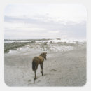 Buscar soledad pegatinas Horizontal