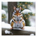 Buscar chipmunk posters Vida silvestre