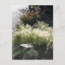 Buscar ornamental postales Para ellos