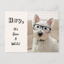Buscar westies postales Divertido