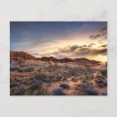 Buscar desierto de mojave tarjetas Naturaleza