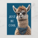 Buscar funky postales Animal