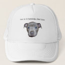 Buscar bull gorras Staffordshire bull terrier