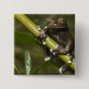 Buscar cautivo chapas Fauna