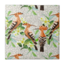 Buscar pájaros exóticos azulejos Loro