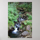 Buscar agua corriente posters Selva tropical