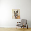 Buscar malinois posters Cachorro