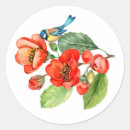 Buscar pájaros azules pegatinas General y unisex