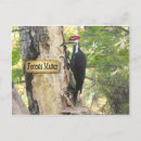 Buscar ecología postales Medio ambiente