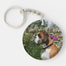 Buscar perro boxer llaveros Foto
