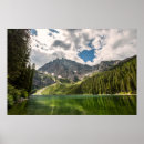 Buscar árbol de cedro posters Paisaje