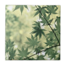 Buscar hojas de arce azulejos Verde