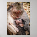 Buscar planas del bebé arte Animales de bebé