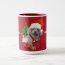 Buscar merry tazas Familia
