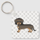 Buscar jabalí llaveros Dachshund