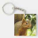 Buscar naturaleza llaveros Fotografía