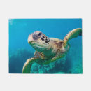 Buscar tortuga verde felpudos Náutico