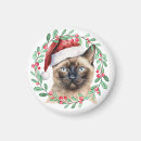Buscar gatos siameses imanes Siamés