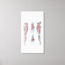 Buscar piernas arte Anatómico