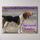 Buscar adopte posters Animales