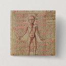 Buscar anatomía chapas Gótico