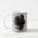 Buscar mallard duck tazas Patos