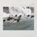 Buscar animales en el salvaje postales Horizontal