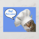 Buscar cocinar postales Gatos