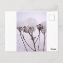 Buscar melancolía postales Navidades