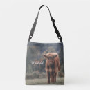 Buscar bovino bolsos Vaca de montaña