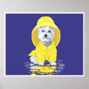 Buscar westie arte Animales