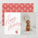 Buscar veterinario tarjetas Para mascotas