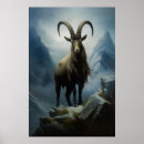 Buscar cabras alpinas posters Animal