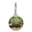 Buscar animales mascotas General y unisex