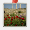 Buscar columnas adornos Paisaje