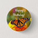 Buscar mariposas de monarca chapas Naranja