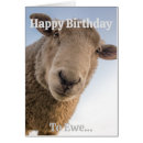 Buscar versátil tarjetas Divertido